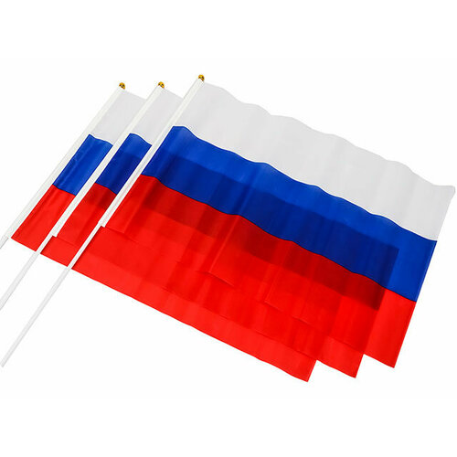 FLAG Флаг России триколор 40х60 (3 шт.)