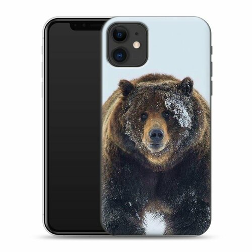 Дизайнерский силиконовый чехол для Iphone 11 Медведь