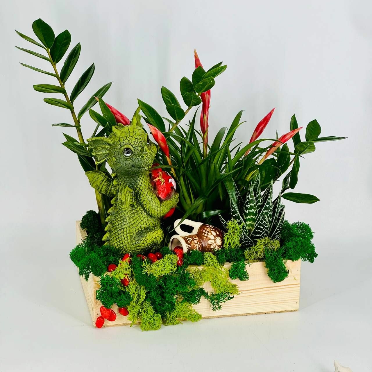 Настольная композиция из живых растений в деревянном ящике алое вриезия