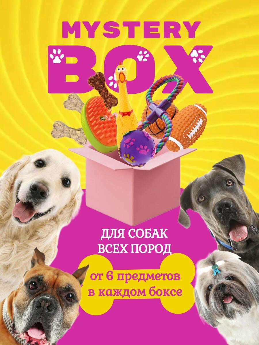 Mystery Box для собак / от 6 до 20 предметов в боксе для собак всех пород / восторг и окупаемость 100%