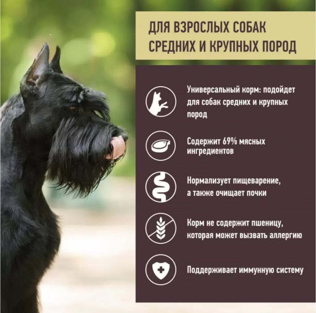 Grandin Holistic сухой корм для собак средних и крупных пород с ягненком 2,7 кг - фото №6