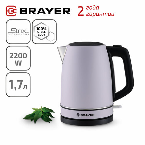 Электрический чайник Brayer BR1082 233000₽