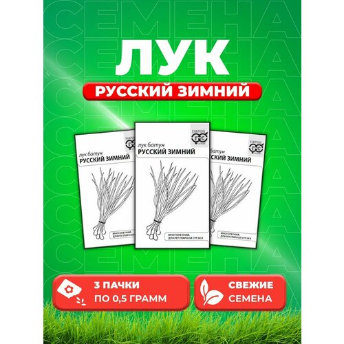 Лук батун Русский зимний 0,5 г б/п с евроотв. (3уп) лук батун русский зимний 0 5 гр б п