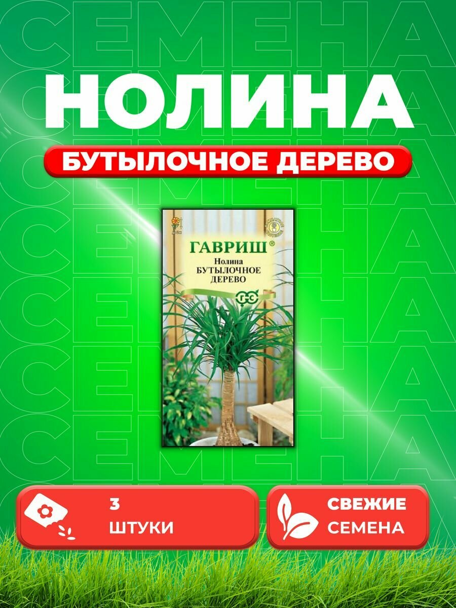 Нолина Бутылочное дерево, 3шт