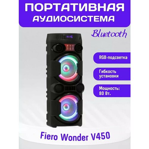 Портативная аудиосистема Fiero Wonder V450 черный 1250000₽
