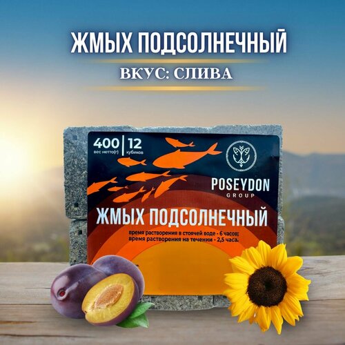 Жмых рыболовный подсолнечный / прикормка рыболовная / макуха для рыбалки POSEYDON Слива 12 штук 400 грамм