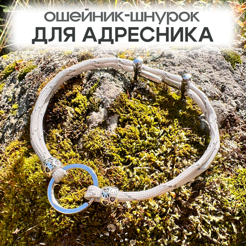 Ошейник-шнурок для адресника светоотражающий из паракорда размер XS 18-28 см, цвет серый