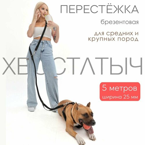 Перестежка для собак PRO прошитая брезент 5 м х 25 мм (черный)