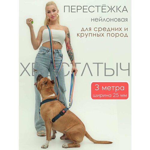 Перестежка для собак PRO прошитая нейлон 3 м х 25 мм (радуга)