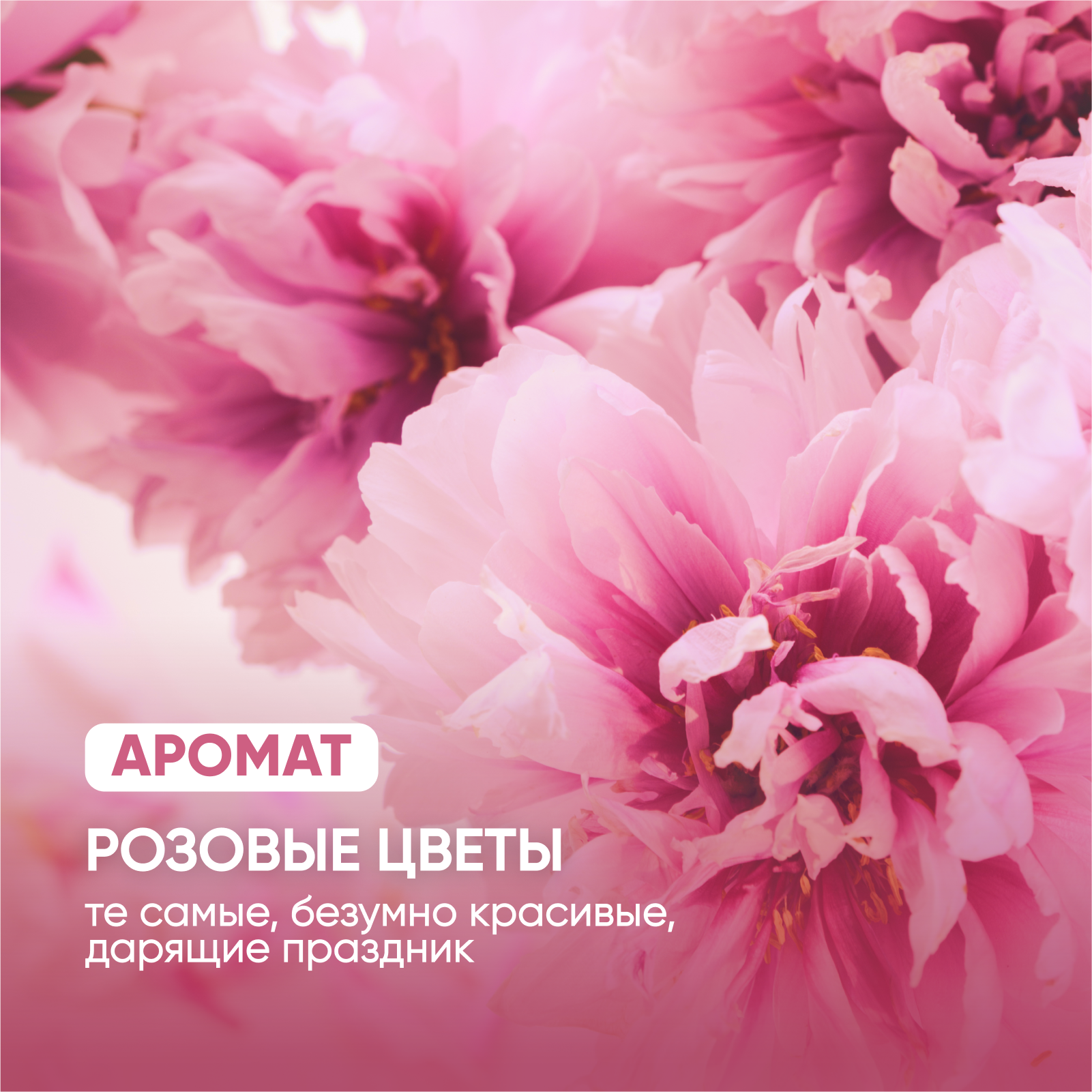 SimpleWay Жидкое мыло для рук, дозатора, диспенсера , Мыло пенка, Набор 3 сменных блока , аромат розовые цветы, Розовое — фото 1