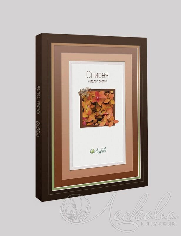 Спирея. Каталог сортов