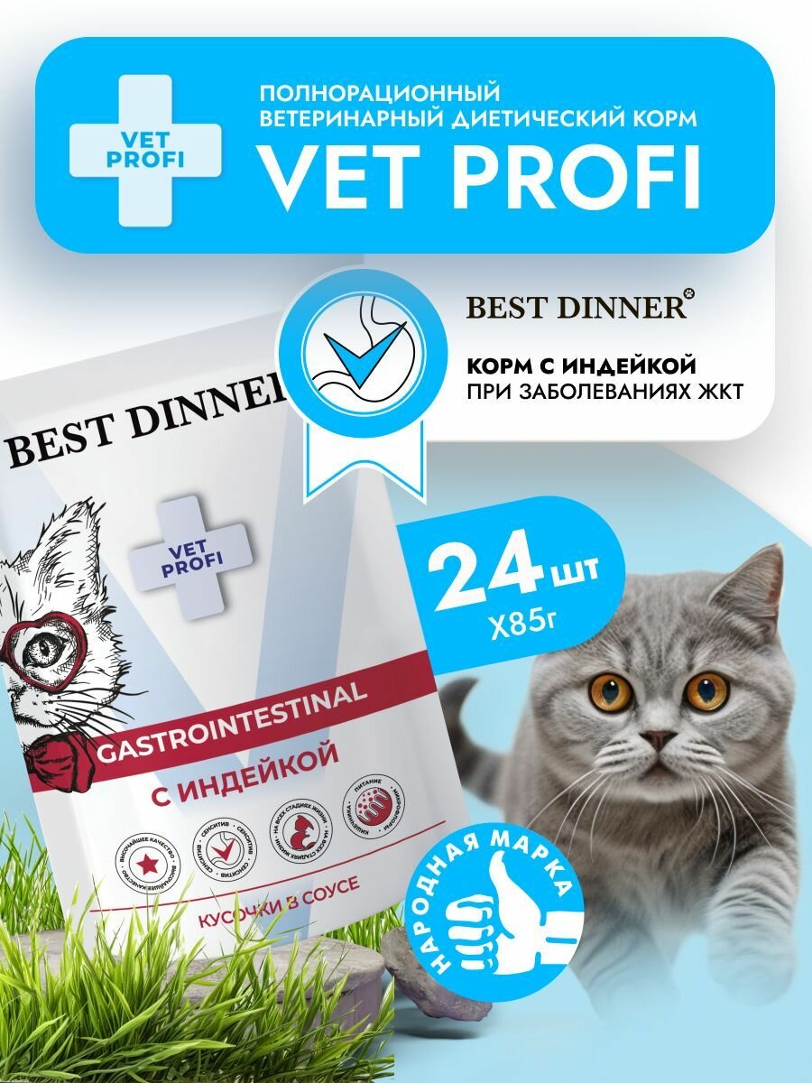 Влажный диетический корм Best Dinner VET PROFI Gastrointestinal для кошек при заболеваниях ЖКТ кусочки в соусе Индейка, 85 г х 24 шт, пауч (Бест Диннер)
