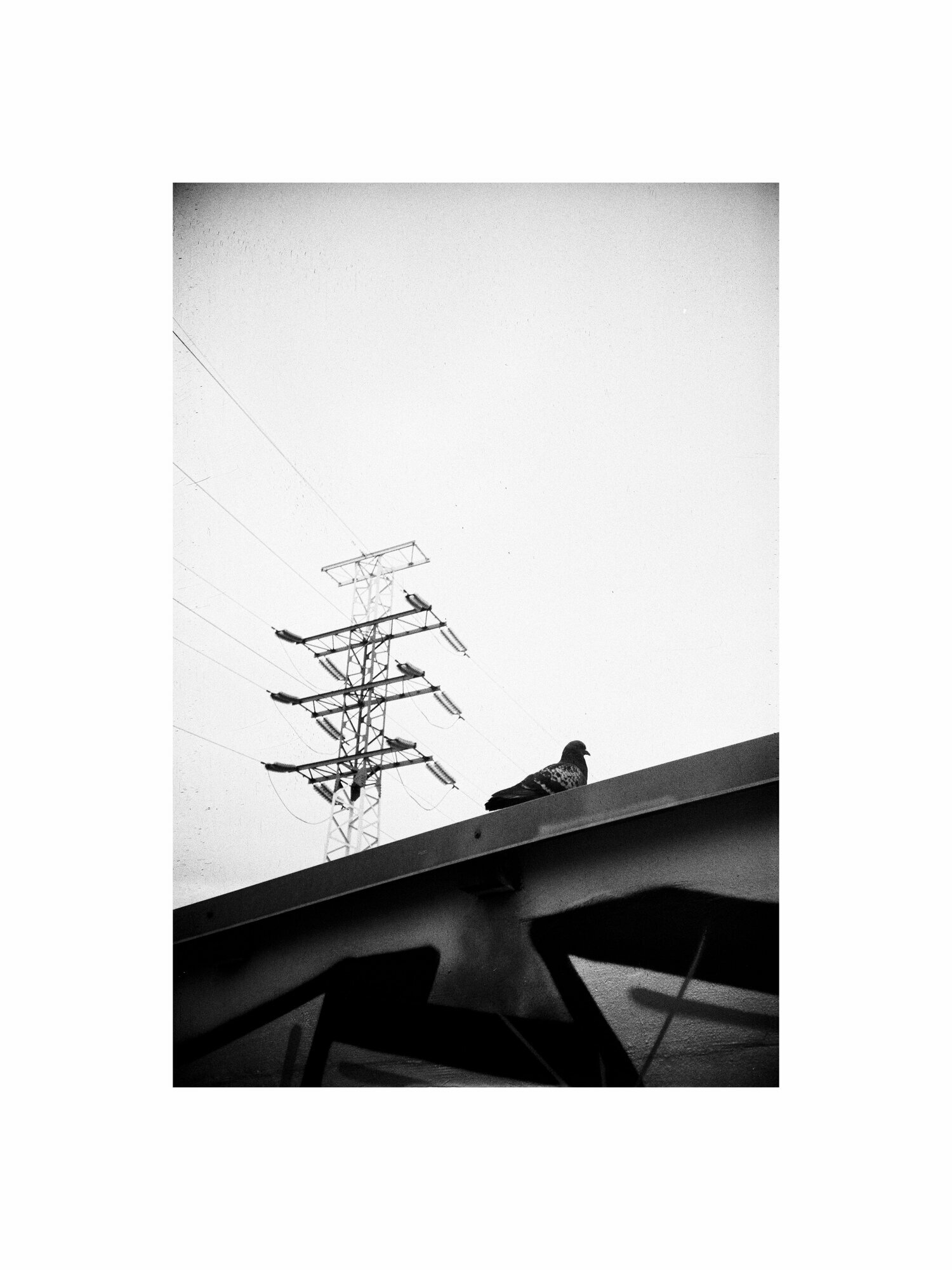 Фотопленка черно-белая Lucky 1023, 36 кадров, ISO 400, негативная — фото 1