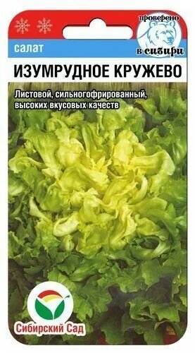 Салат Изумрудное кружево