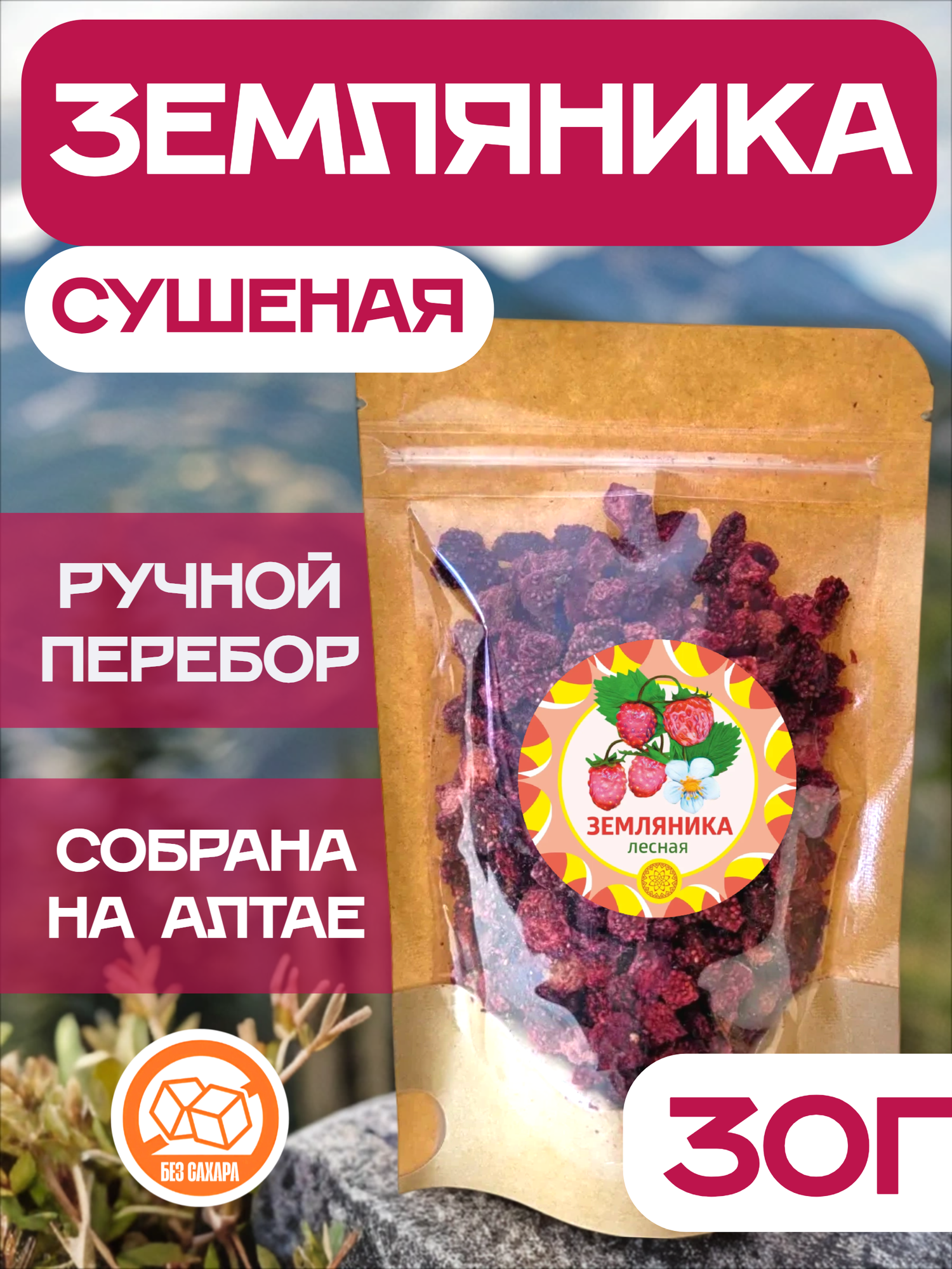 Земляника Алтайская 