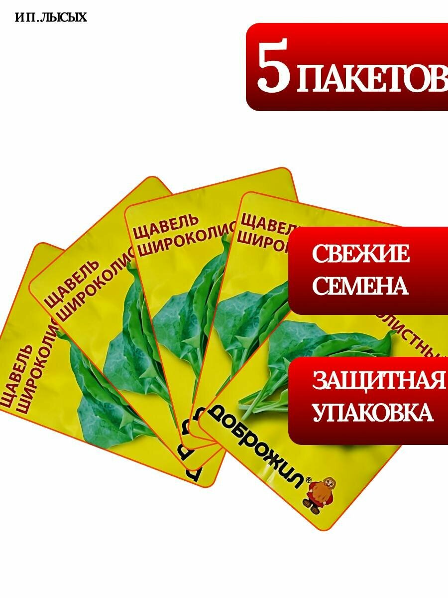 Семена Щавель "Широколистный"