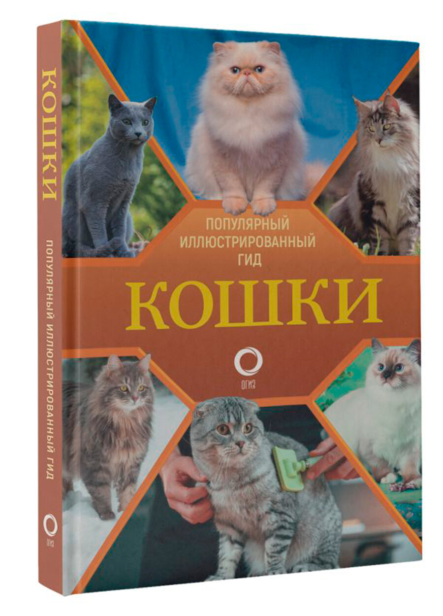 Кошки (Непомнящий Николай Николаевич) - фото №2