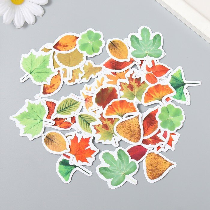 Наклейки для творчества КНР "Осенние листья" 6,4х4,4х1,1 см, набор 46 шт (9280456)