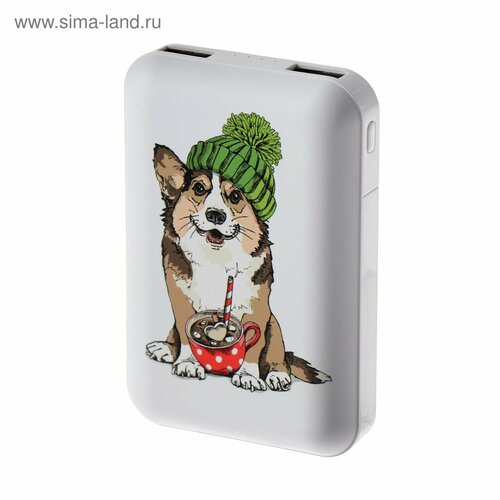 Внешний аккумулятор RPB-10007 10000 мАч 2хUSB 21 А корги 3494₽