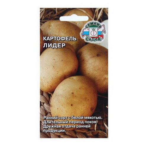 Семена Картофель Лидер F1 0.02 г семена картофель лидер 3 упаковки 2 подарка от продавца