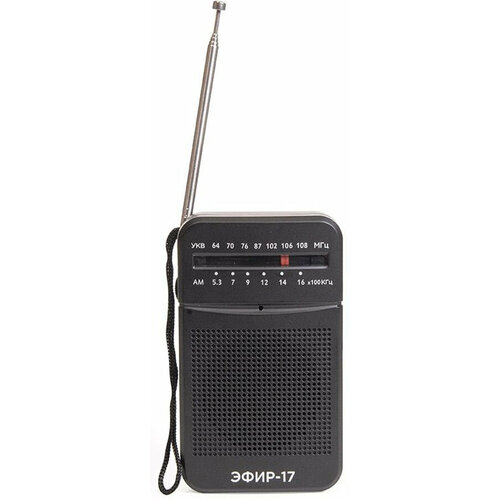 Радиоприемник портативный Сигнал Эфир-17 черный 132800₽