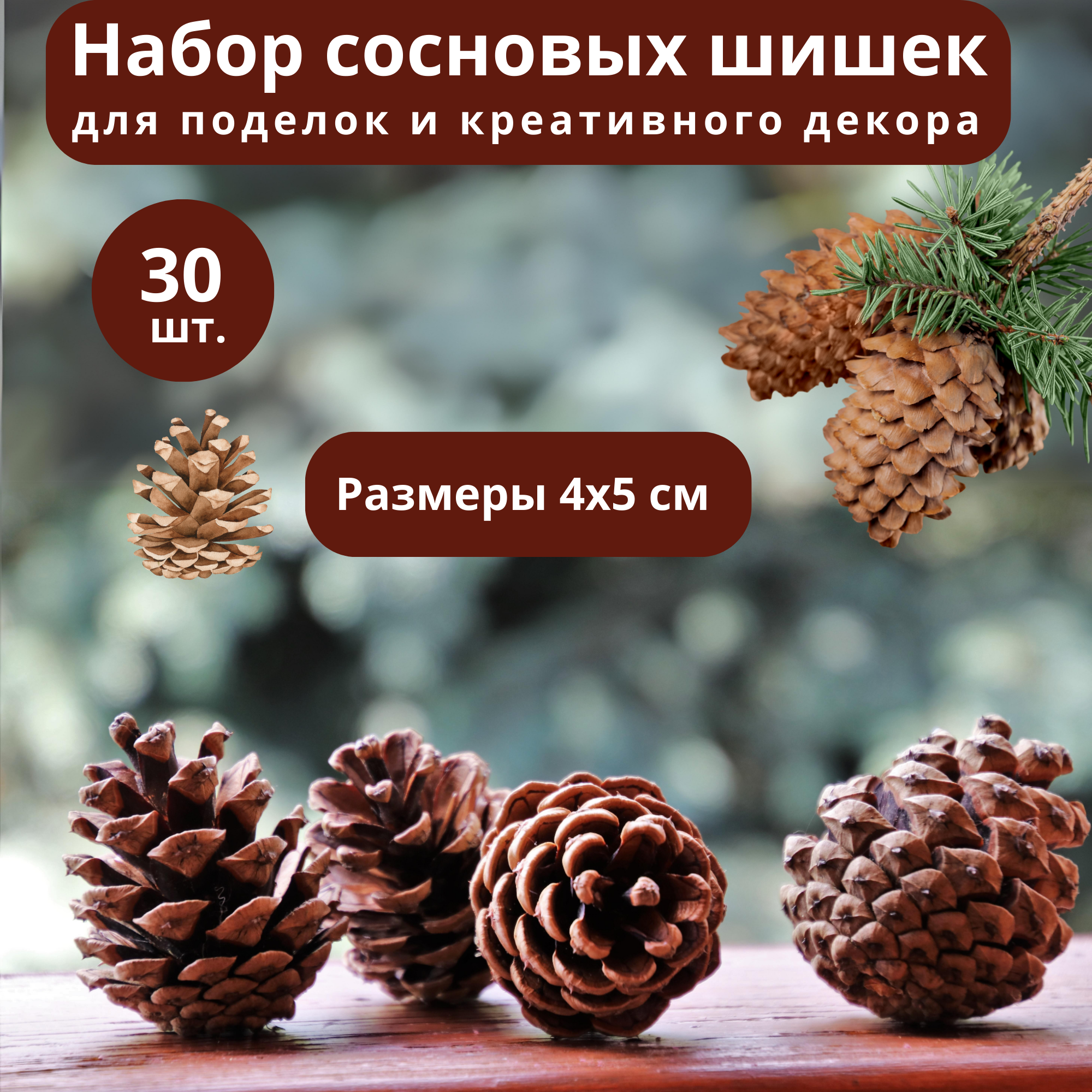 фото Сосновые шишки 30 шт, 40x25мм, красивый природный материал для флористики, топиария, рождественских венков и различных новогодних поделок. Их можно ис