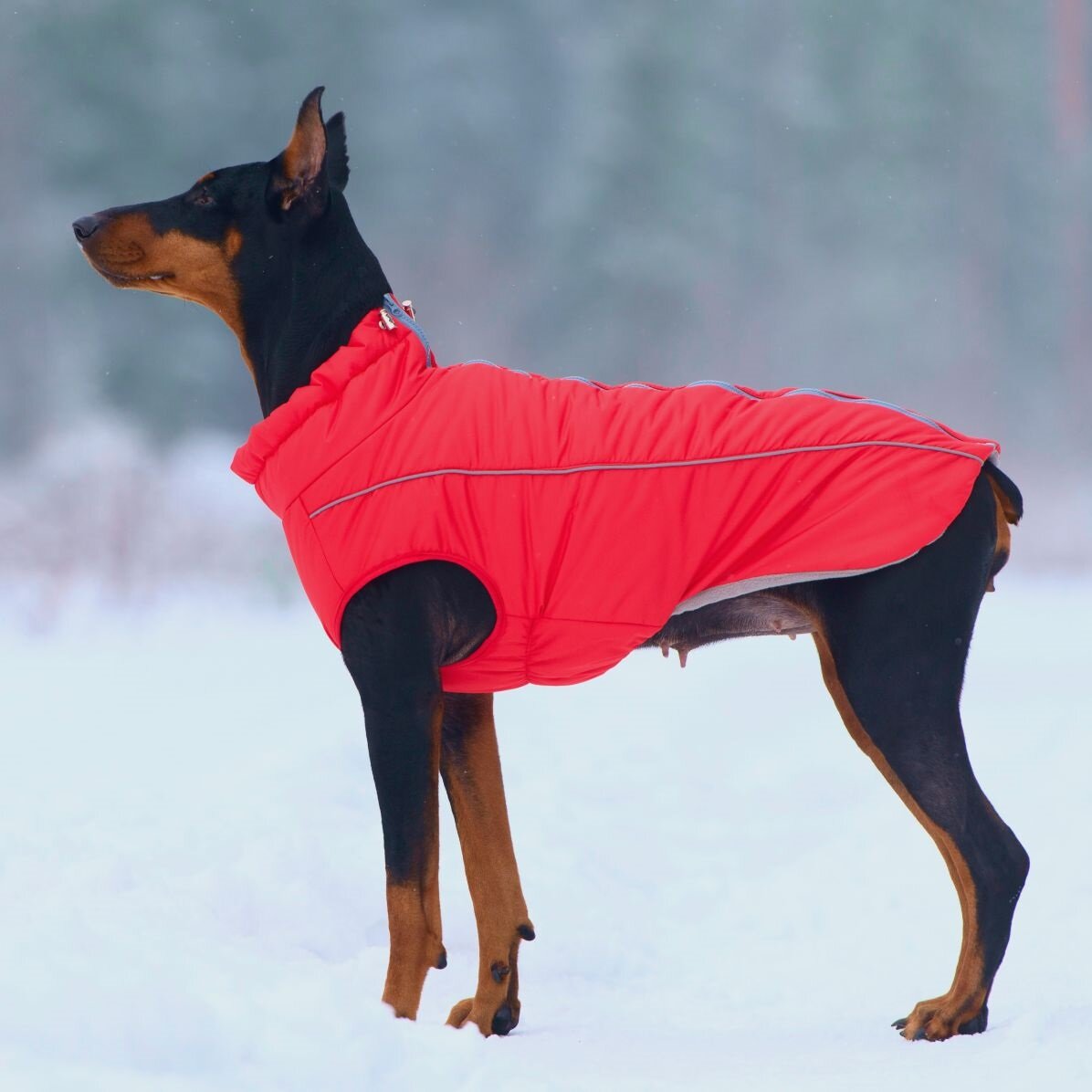 Жилет зимний для собак Osso-fashion Аляска р.45-1 (красный)