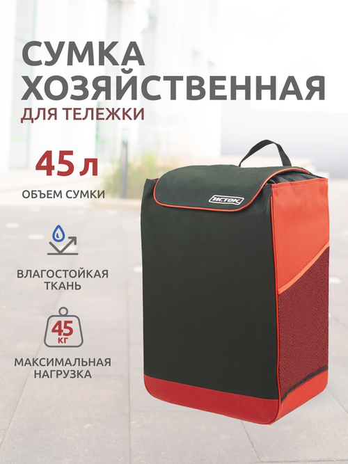 Сумка Исток, 45 л, 24х50х35 см, ручная кладь, черный, красный