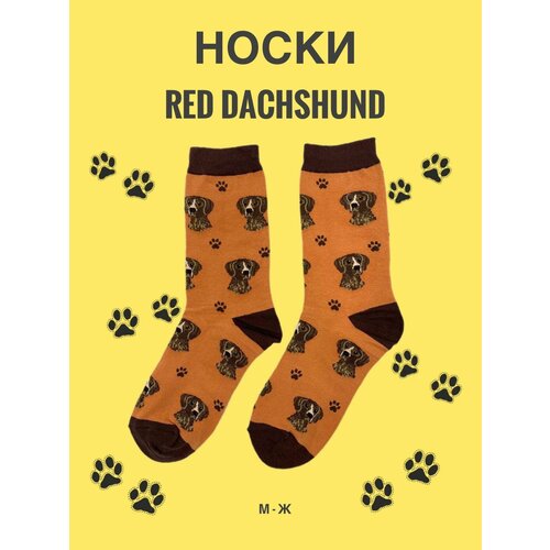 фото Носки , размер 36/43, черный, оранжевый, коричневый sockdaddy