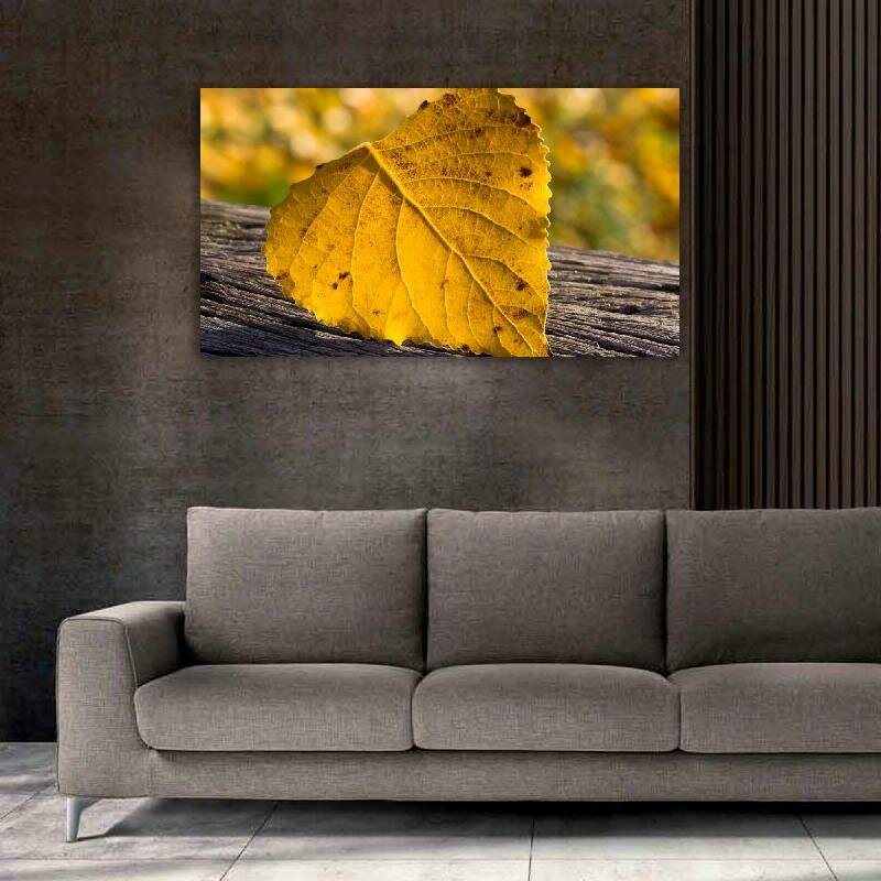 Картина на холсте 60x110 LinxOne "Макро лист природа" интерьерная для дома / на стену / на кухню / с подрамником