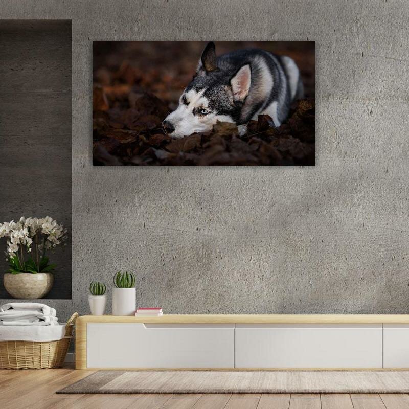 Картина на холсте 60x110 LinxOne "Хаски лежит на осенней листве" интерьерная для дома / на стену / на кухню / с подрамником