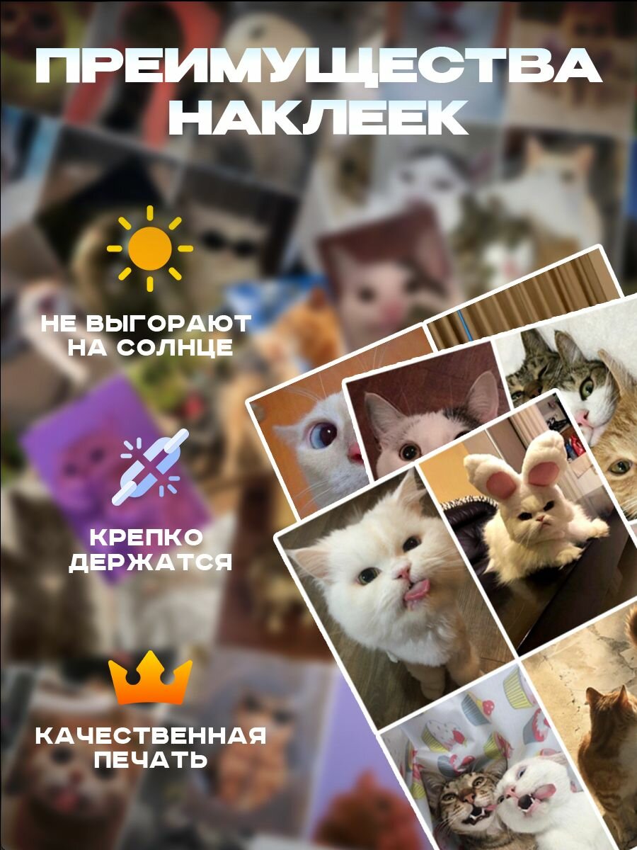 Наклейки Котики