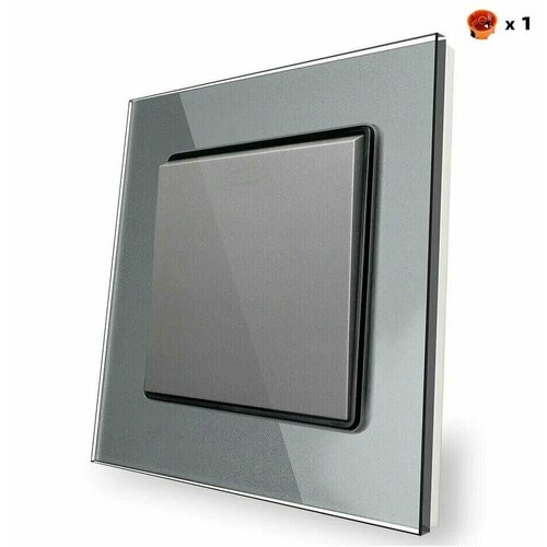 Выключатель одноклавишный, рамка из закаленного стекла, серый