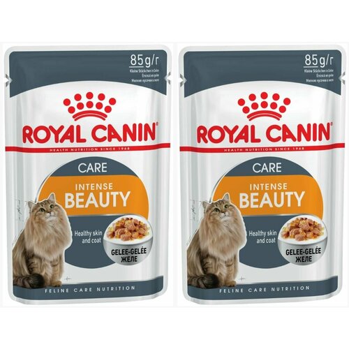 Royal Canin Корм влажный Intense Beauty, для кошек старше 1 года, для поддержания красоты шерсти, кусочки в желе, 85 г, 2 шт