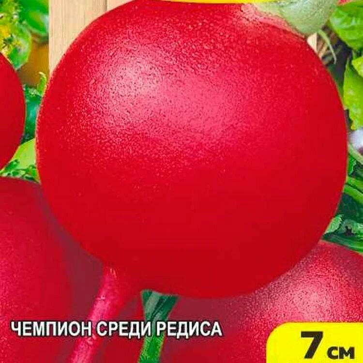 Коллекционные семена редиса сибирский Гигант