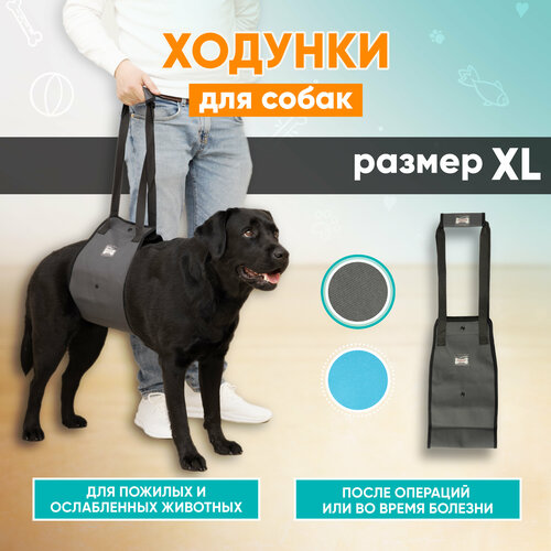 Задняя поддержка для собак, ходунки для собак Mr Dog серая, XL задняя поддержка для собак mr dog голубая m