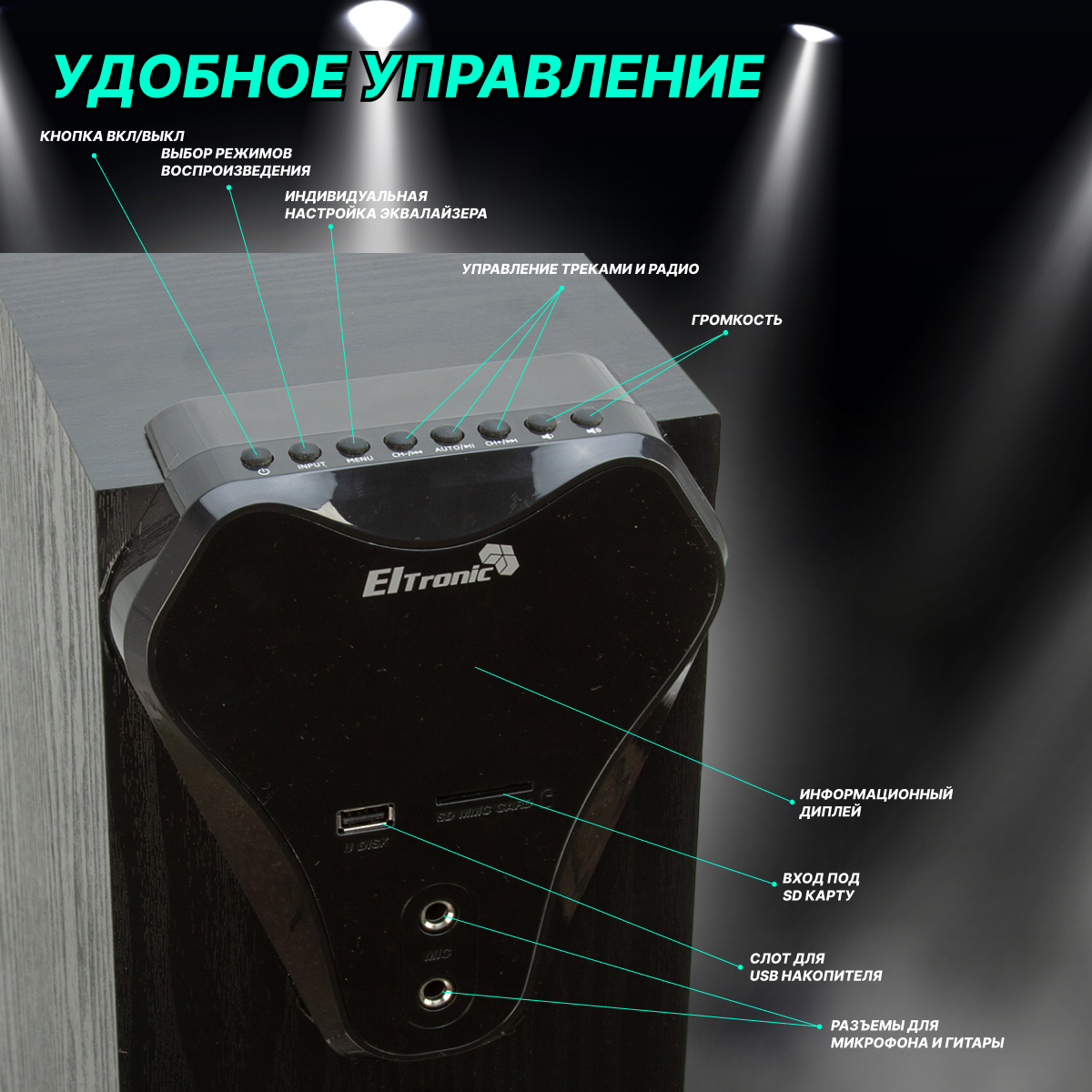 Акустическая система Eltronic 20-80 Home Sound (черный)