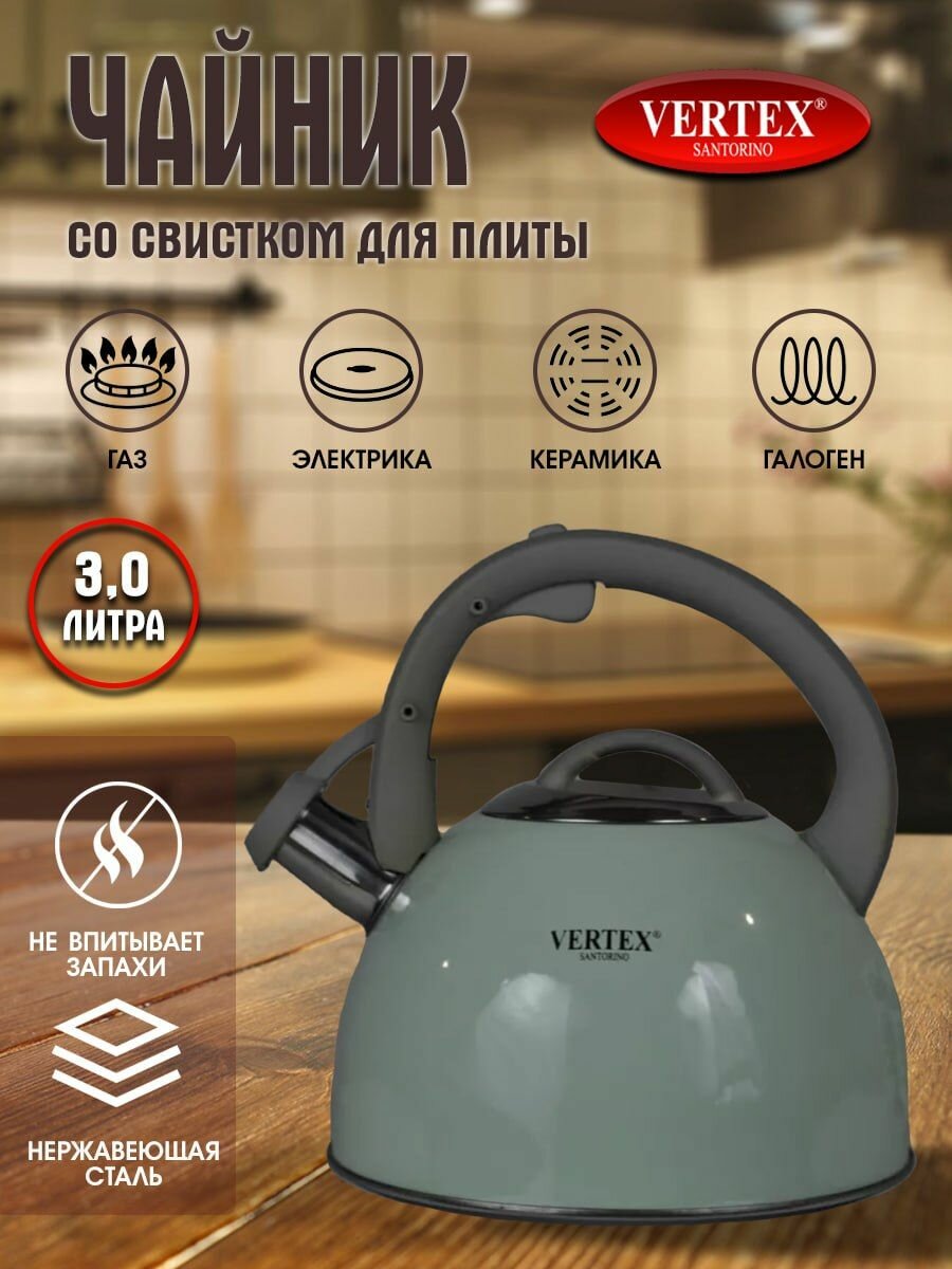фото Чайник со свистком 3 литра