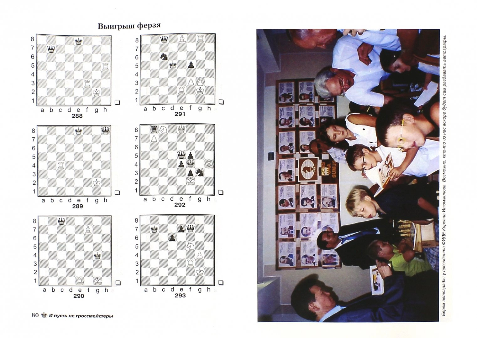 И пусть не гроссмейстеры. Шахматный практикум для начинающих шахматистов - фото №8