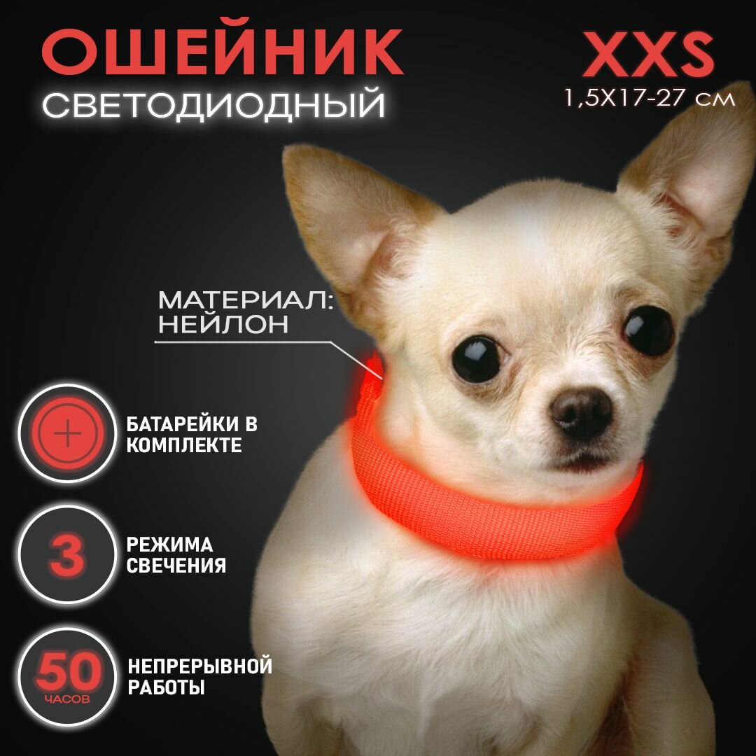 Ошейник светящийся для собак и кошек светодиодный нейлоновый красного цвета, размер XXS - 1,5х17-27 см