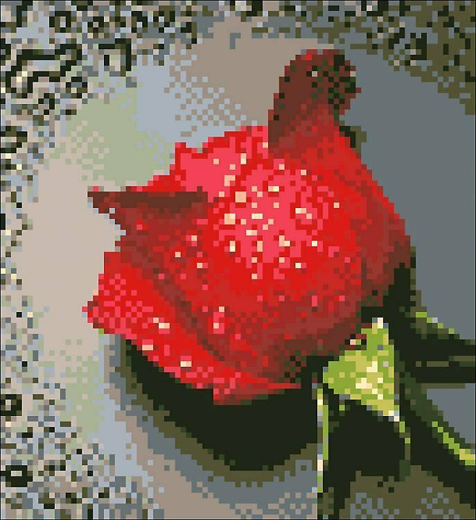 Красная Роза АЖ-014