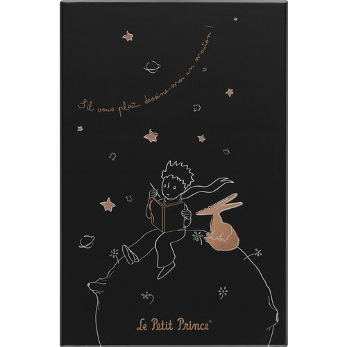 Блокнот Moleskine LIMITED EDITION PETIT PRINCE LEPP04QP060BOX Large 130х210мм 240стр. линейка твердая обложка подар. кор. черный moleskine блокнот moleskine classic qp060p14 large 130х210мм 240стр линейка твердая обложка коричневый