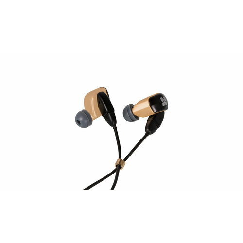 Наушники HIFIMAN RE2000 Pro Gold