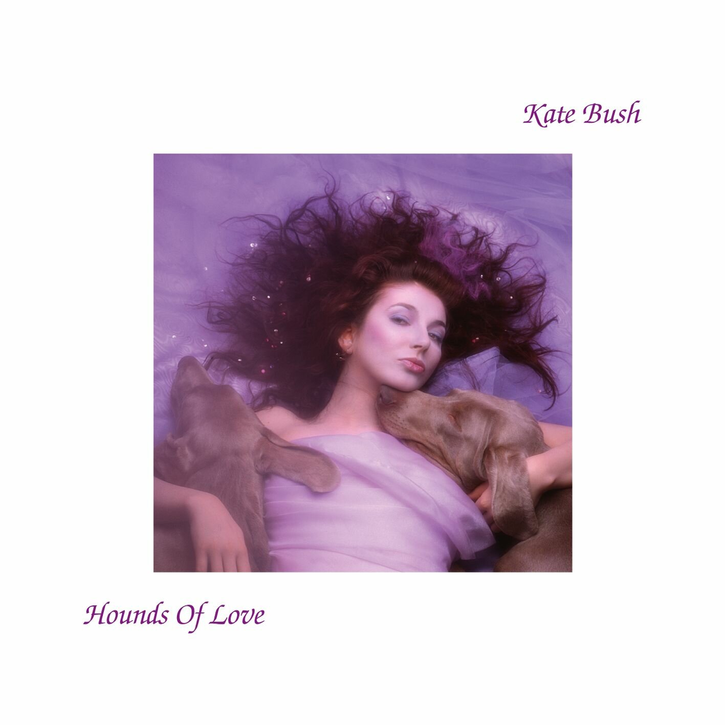 Винил 12" (LP) Kate Bush Kate Bush Hounds Of Love (LP) PLG - фото №1