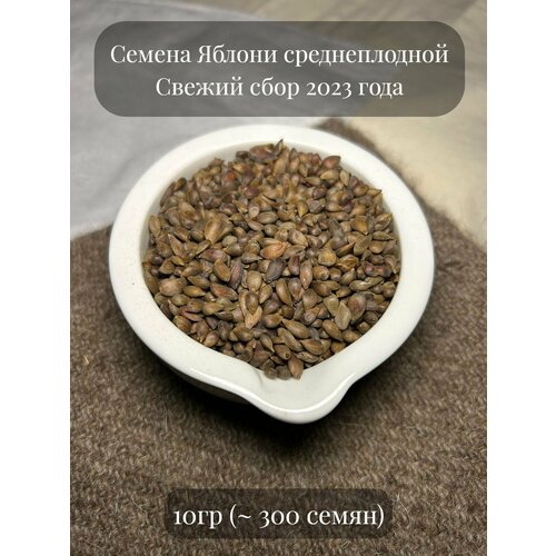 Семена Яблони среднеплодной