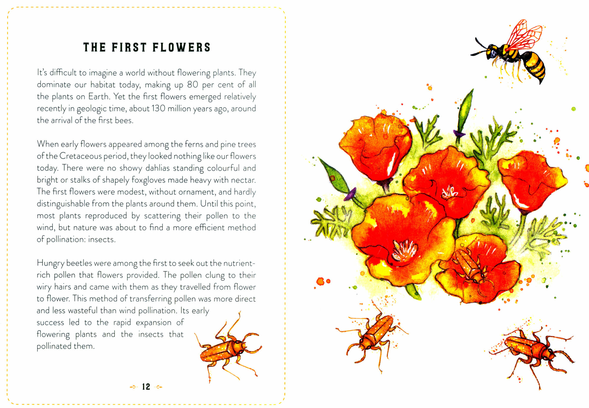 The Little Book of Bees. An Illustrated Guide to the Extraordinary Lives of Bees - фото №3