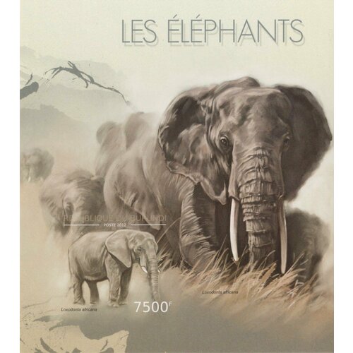 Почтовые марки Бурунди 2012г. Фауна - Слоны Слоны MNH