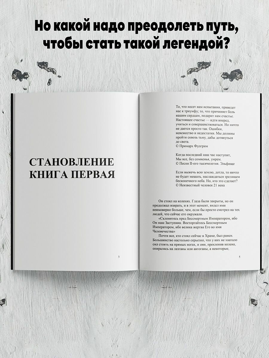 Комиссар Хольмг (Руденко Л.) - фото №6