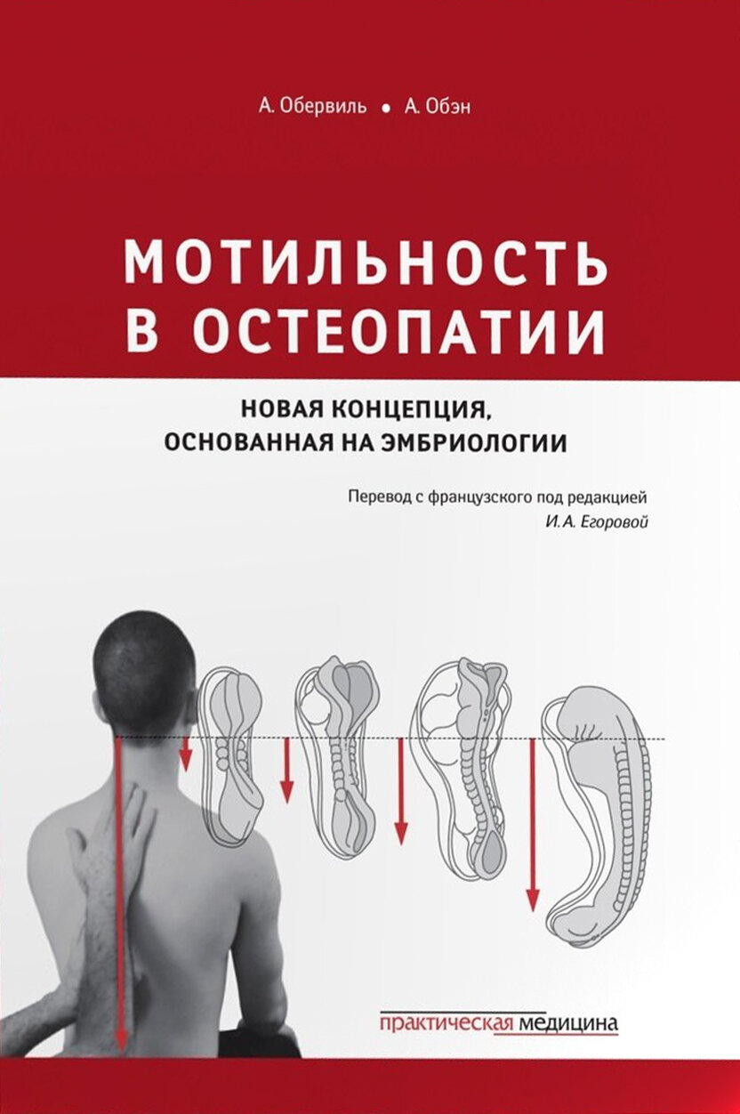 Мотильность в остеопатии. Новая концепция, основанная на эмбриологии - фото №2