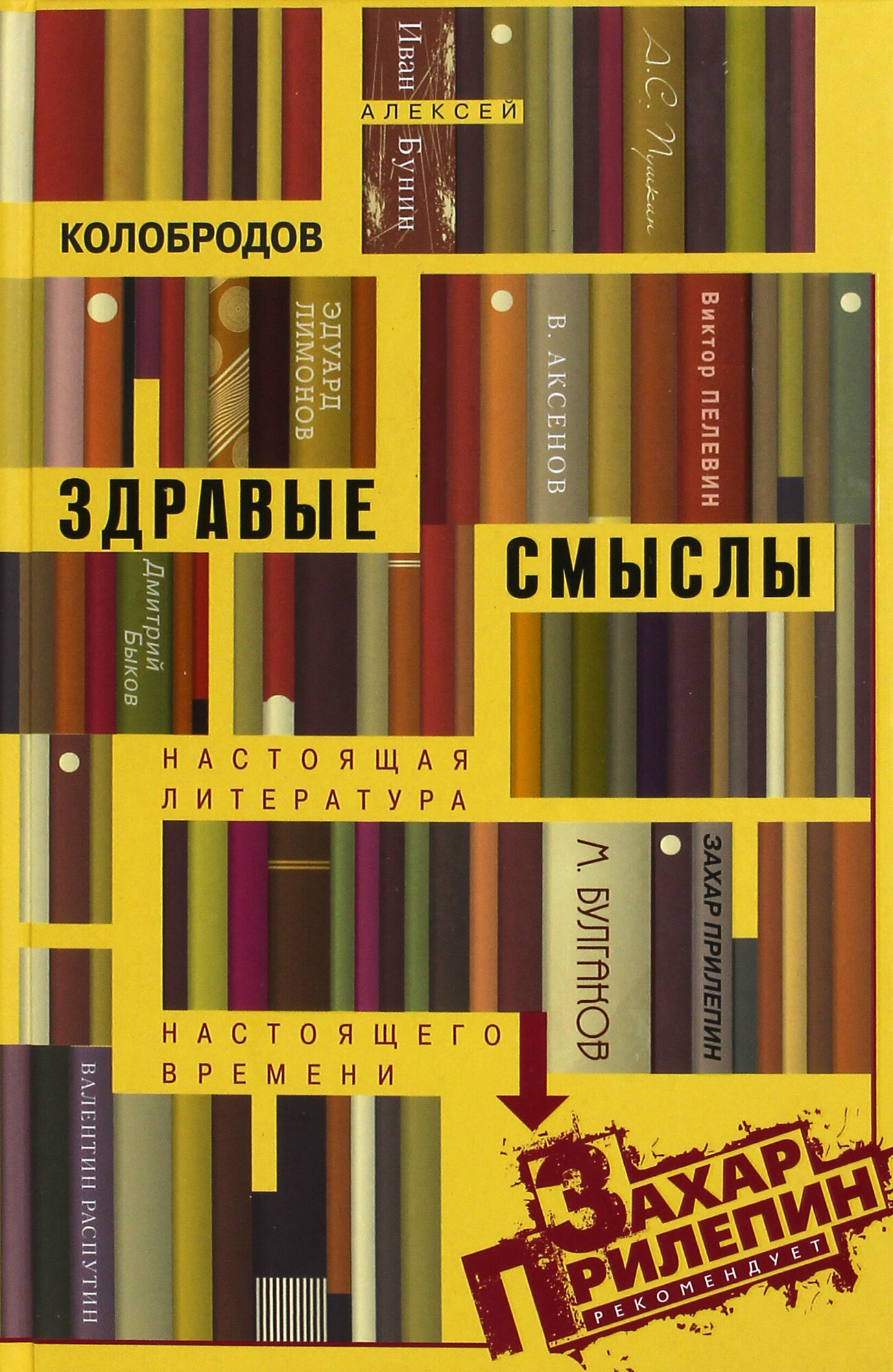 Здравые смыслы. Настоящая литература настоящего времени - фото №2